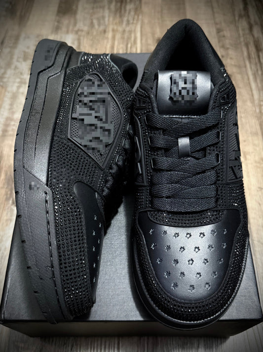 AM1R 01